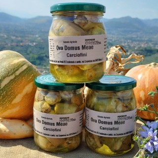 Carciofini sott'olio 530 gr